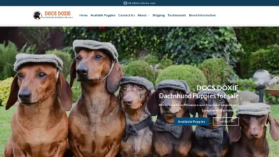 A screenshot of Docsdoxie.com