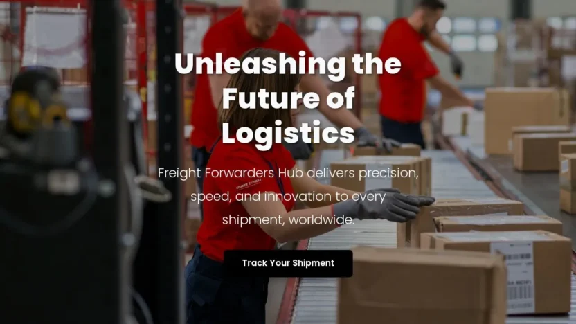 Review freightforwardershub.com