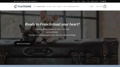 A screenshot of Joneskennelfrenchies.com
