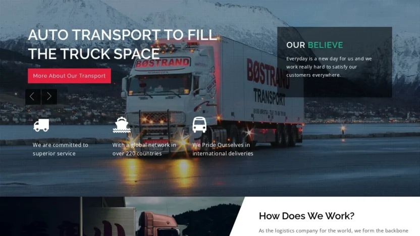 Review metrocityexpresslogistics.com