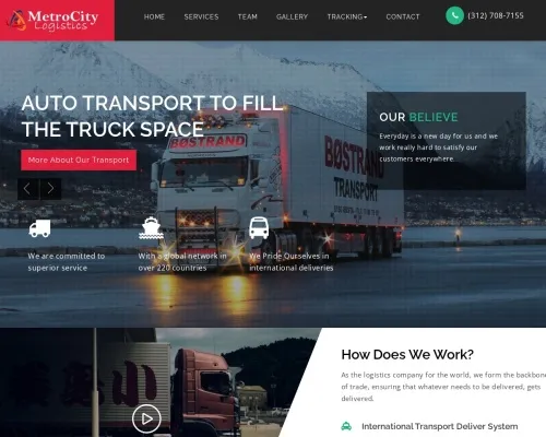 Screenshot of Scam Courier Metrocityexpresslogistics.com