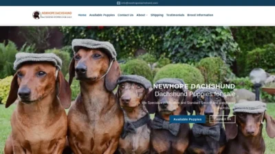 A screenshot of Newhopedachshund.com