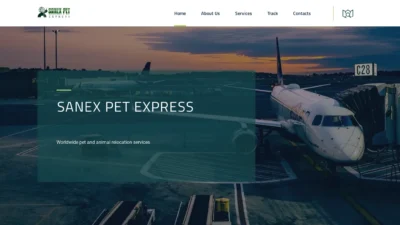 A screenshot of Sanexpetexpress.com