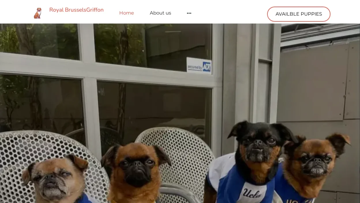 A screenshot of Superbrusselsgriffon.shop