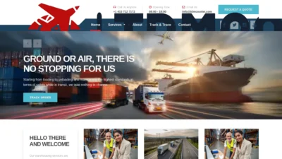 A screenshot of Tdmcourier.com