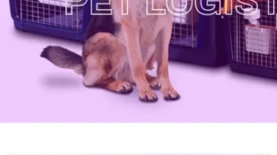 A screenshot of Triplecrownpetlogistics.com