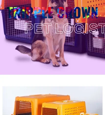 A screenshot of Triplecrownpetlogistics.com