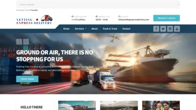 A screenshot of Vettingexpressdelivery.com