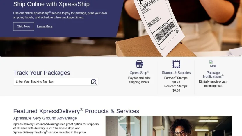 Review xpressdeliveryservices.online
