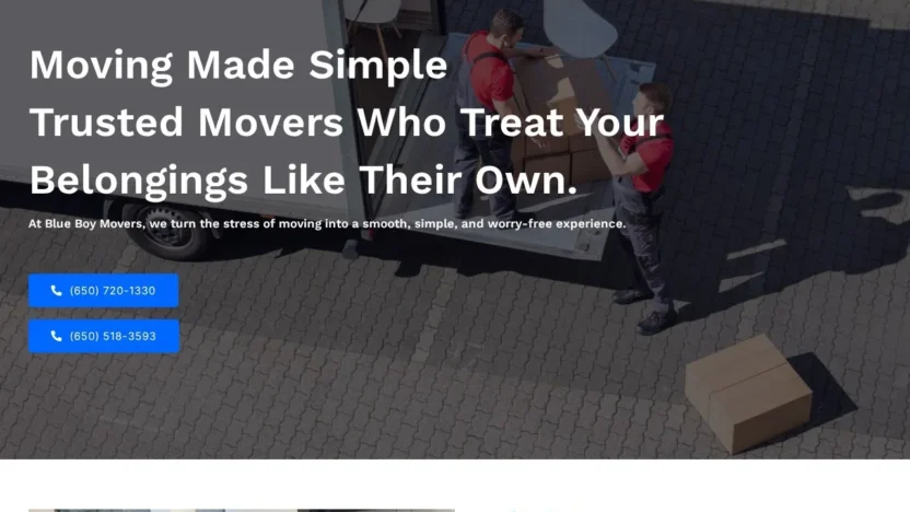 Review blueboymovers.com