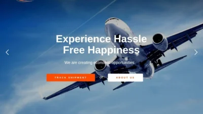 Review worldfastdeliveryservice.com