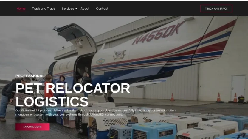 Review petrelocatorlogistics.com
