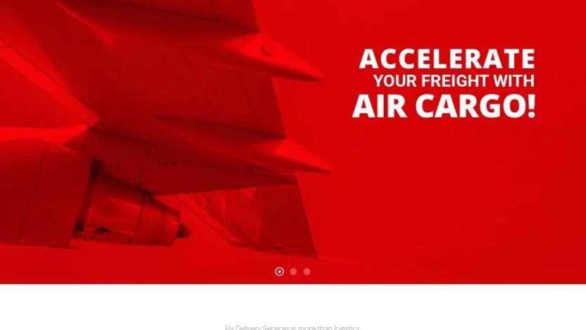 Review flydeliveryservices.com