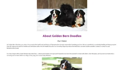 Review goldenberndoodles.store