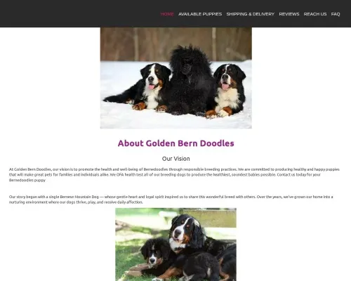Screenshot of Scam Courier Goldenberndoodles.store