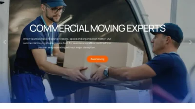 Review nextgenexpresslogistics.com