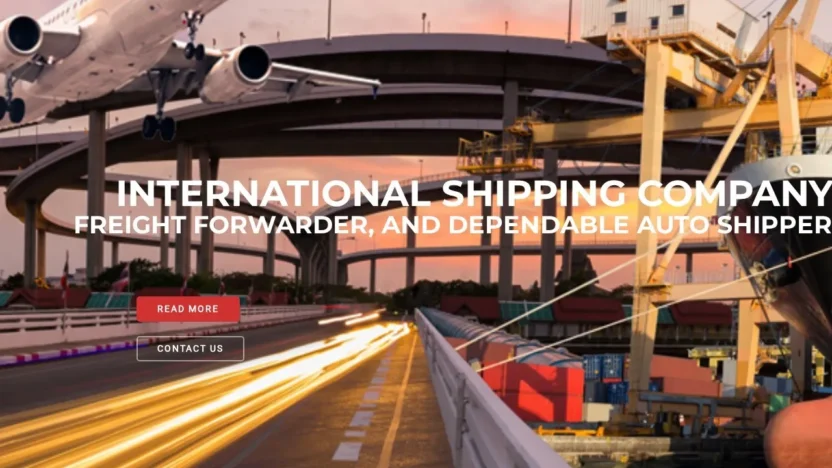 Review diamondkingexpresslogistics.com